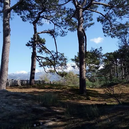 Appartement Les Residences Pinea