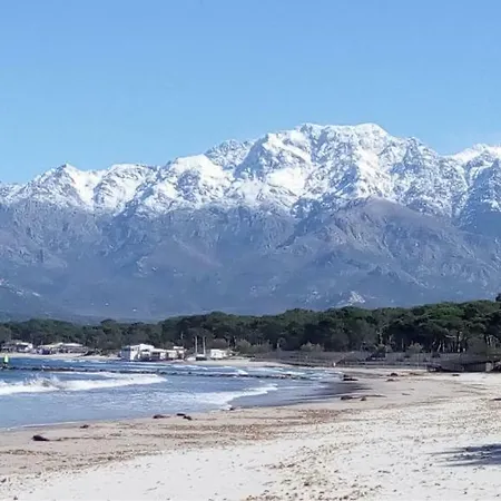 Appartement Les Residences Pinea Calvi (Corsica)