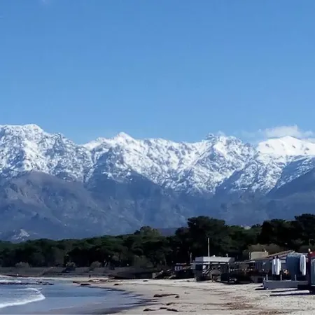 Les Residences Pinea Calvi (Corsica)